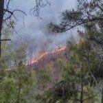 जंगलों की आग से पर्यावरण को नुकसान,ग्लेशियर्स भी प्रभावित