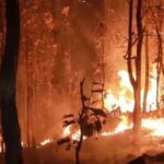जंगलों में आग लगाने वाले अराजक तत्वों पर ड्रोन से नजर रखेगा वन विभाग