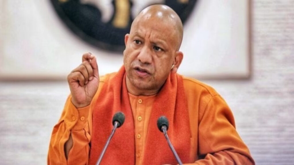 yogi11