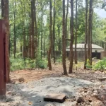 देहरादून के खलंगा में अतिक्रमण की सूचना से मचा हड़कंप, मौके पर पहुंची टीम को मिली चौंकाने वाली हकीकत ने निगरानी बढ़ाई