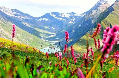 valley-of-flowers_1534664001-2025-06-3336afd9ea9657b9f0bffe144f66fde6