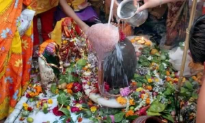 1315264--202407212317480000