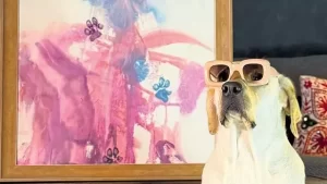 4780923-indias-first-dog-watercolor-painter