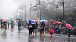 images - 2025-06-25T112533.358