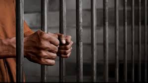 images - 2025-07-01T132149.616