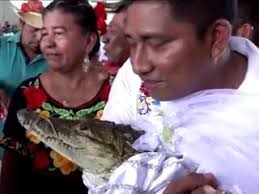 images - 2025-07-04T113252.536