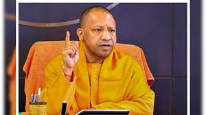 images - 2025-07-11T172134.795