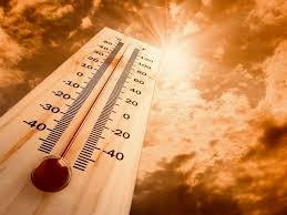 images - 2025-09-28T165139.741