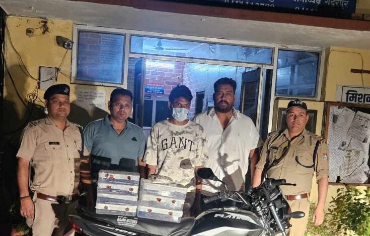 312-bor-pistal-735x470