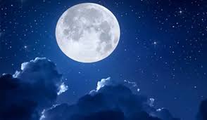 images - 2025-12-28T151223.871