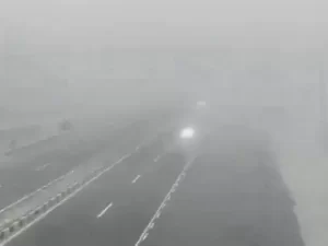 769fb28bdd58dbc426ec30ce28c4c830