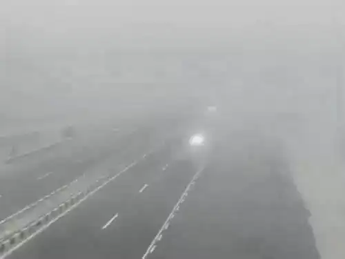 769fb28bdd58dbc426ec30ce28c4c830