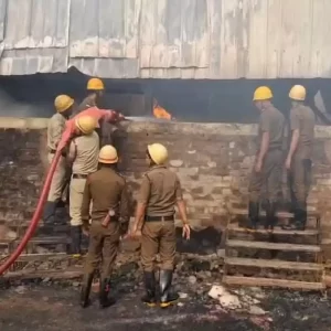 e9e7376ed79437f0944af66d8bf30f3a (1)