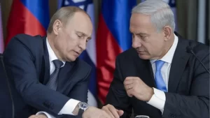 untitled-design-(24)