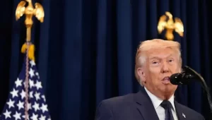 2e326d314a544178abbab6903e778e65