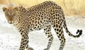 images - 2026-03-10T133226.773