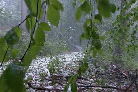 images - 2026-03-10T160125.156