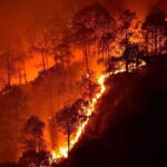 जंगलों की आग से जलधाराओं, वन्यजीवों और पर्यावरण पर मंडराया खतरा