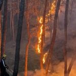 प्राइमरी स्कूल तक पहुंचीं लपटें, फायर ब्रिगेड की मुस्तैदी टला बड़ा हादसा