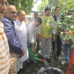 मेयर सौरभ थपलियाल का पंडित दीनदयाल उपाध्याय पार्क में पौधारोपण